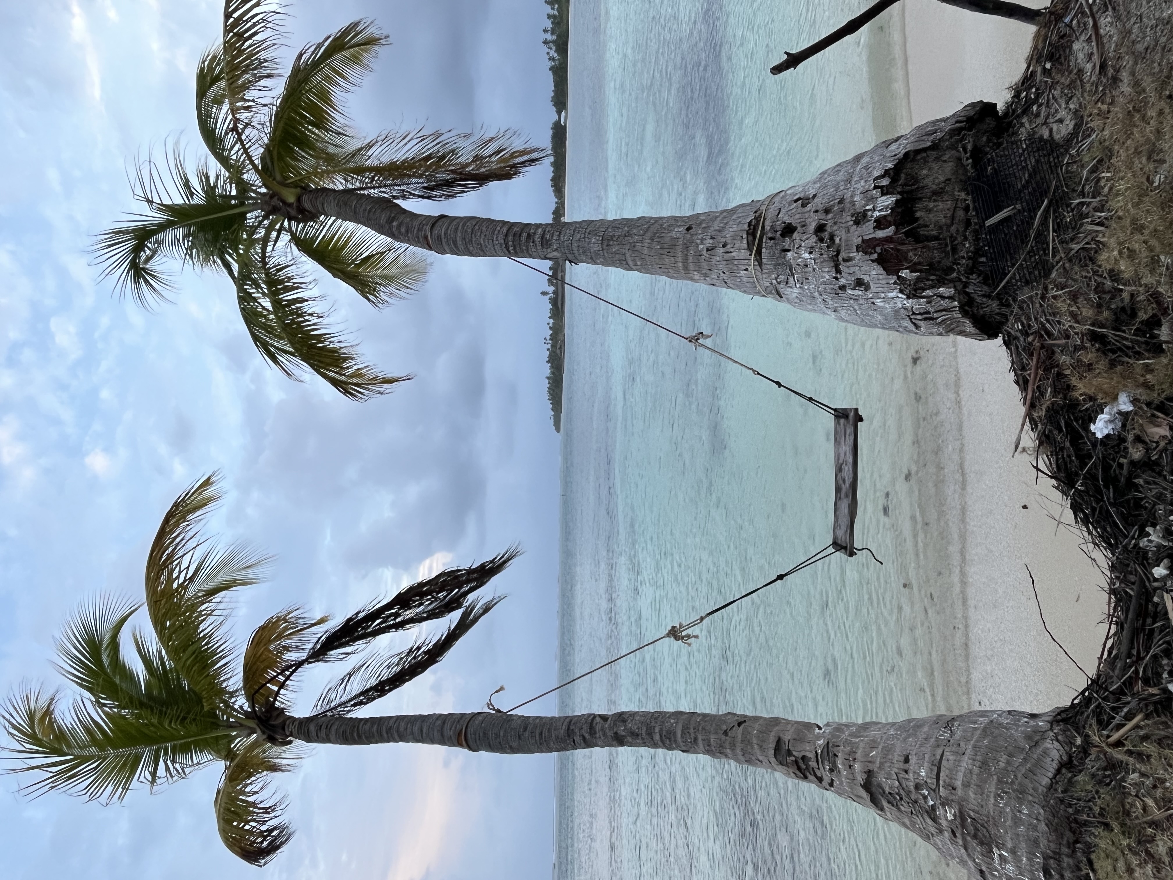 IMG_1327.jpeg